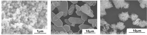 開発した酸化セリウムの顕微鏡写真
