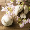 Lush桜のボディウォッシュ発売