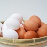 完全栄養食品の卵は美容にもダイエットにも効果的