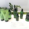 アモーレパシフィック、日本市場に『innisfree』を投入