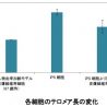 コーセー、iPS細胞から誘導した皮膚線維芽細胞の機能回復を発見