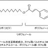 サティス製薬、サツマイモから油溶性ポリフェノール実用化に成功