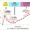 ポーラ化成工業、部分用クリームに理想的な製剤を開発