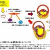 血管のオートファジー機能低下が動脈硬化進展や大動脈瘤形成を促進