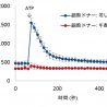 ナリス化粧品、たるみの原因は重力による皮膚表層の細胞面積拡大