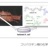 大腸がんリスク因子の特定に期待！世界初コリバクチンの化学構造の全容解明に成功