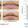 合成疑似セラミドによる唇のあれへの効果を確認～あれやすい唇、セラミドケアによりなめらかに～