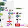 竹から化粧品の美容成分を抽出　産学連携プロジェクトで研究開発進む