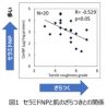 肌のザラつきはセラミドが影響　植物エキスで増加効果を実験