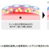 マスクへの色移り抑制と発色の持続を両立させた口紅　資生堂が実用化