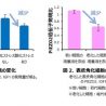 触覚にかかわる「メルケル細胞」　表皮や真皮の老化に影響を与える可能性を確認