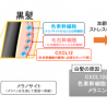 日本メナード化粧品、幹細胞をターゲットに新しい白髪予防素材を発見